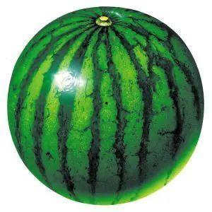 朋友圈今日吃瓜一天西瓜,今日西瓜盛宴