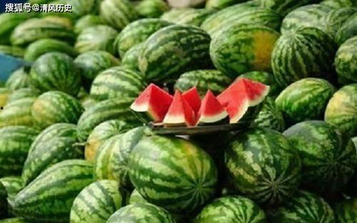 有什么网站吃瓜网