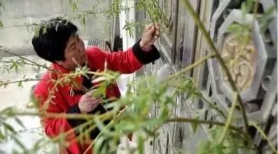 吃瓜网红事件固原,揭秘网络舆论背后的真相与反思